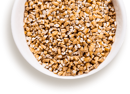 Steel Cut Oats Bowl