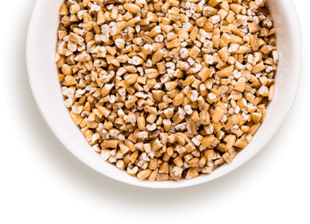 Steel Cut Oats Bowl